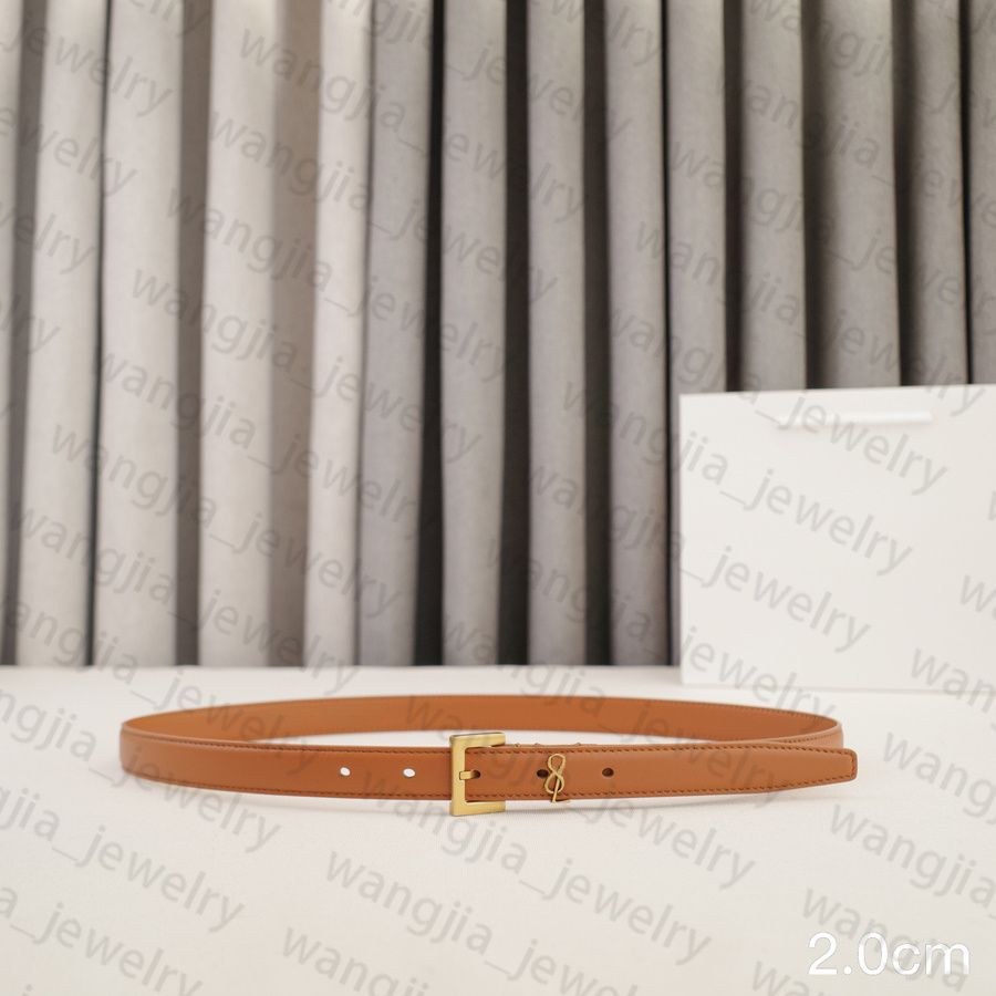 Womens Designer Belt Genuine Leather Belts for Women 2.0/3.0cm Width Leisure Needle Buckle Models Optional Lady Waistband Luxury Waist Girdle 90-115cm Length - 7 of 8