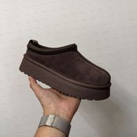 Color 31/TZ16