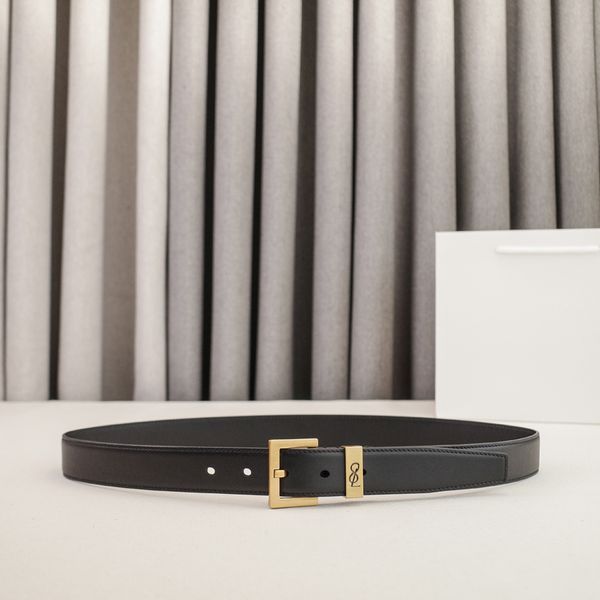 Womens Designer Belt Genuine Leather Belts for Women 2.0/3.0cm Width Leisure Needle Buckle Models Optional Lady Waistband Luxury Waist Girdle 90-115cm Length - Fashion Accessories - kalmora